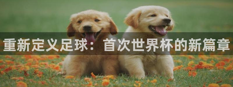 葡萄牙世界杯赛程:重新定义足球:首次世界杯的新篇章