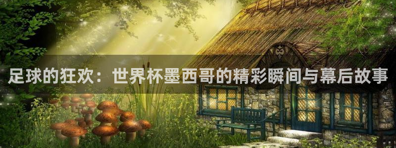 2026世界杯赛:足球的狂欢:世界杯墨西哥的精彩瞬间与幕后故事