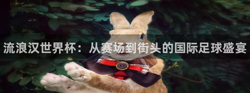 2026年世界杯赛程表时间:流浪汉世界杯:从赛场到街头的国际足球盛宴
