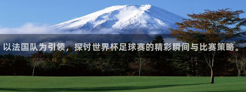 足球世界杯赛程:以法国队为引领,探讨世界杯足球赛的精彩瞬间与比赛策略。