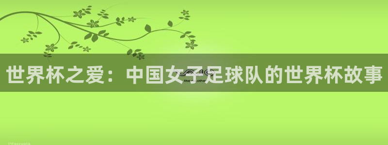 世界杯预选赛赛程时间表:世界杯之爱:中国女子足球队的世界杯故事