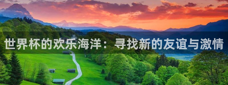 2026世界杯亚洲区预选赛:世界杯的欢乐海洋:寻找新的友谊与激情