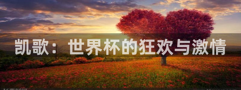 世界杯直播在线观看入口:凯歌:世界杯的狂欢与激情
